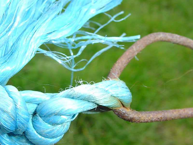 Blue Rope
