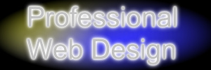Professional Web Design
